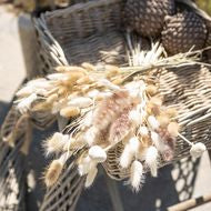Dried White Billy Ball Bunch of 20