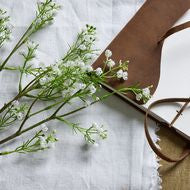 Lily of the Valley