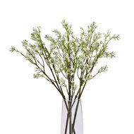 Lily of the Valley