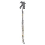Dried Grey Billy Ball Bunch of 20