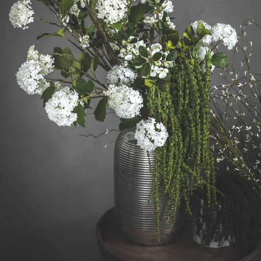 Green Amaranthus