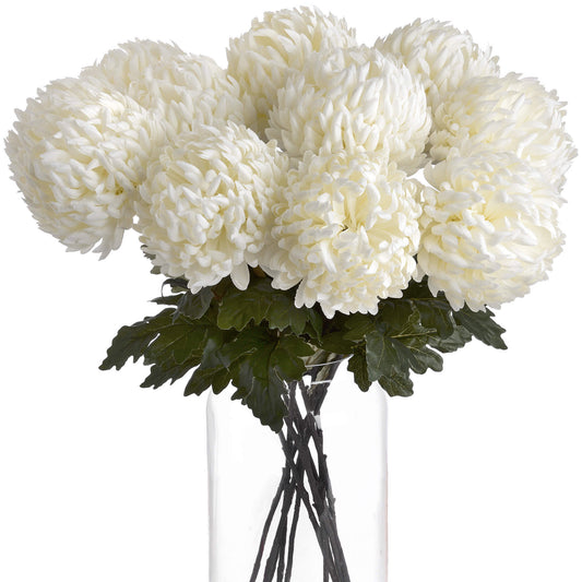 Large White Chrysanthemum