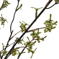 Green Berry Willow Stem