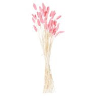 Dried Pale Pink Bunny Tail Bunch of 40