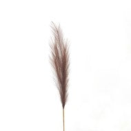 Taupe Faux Pampas Grass Stem